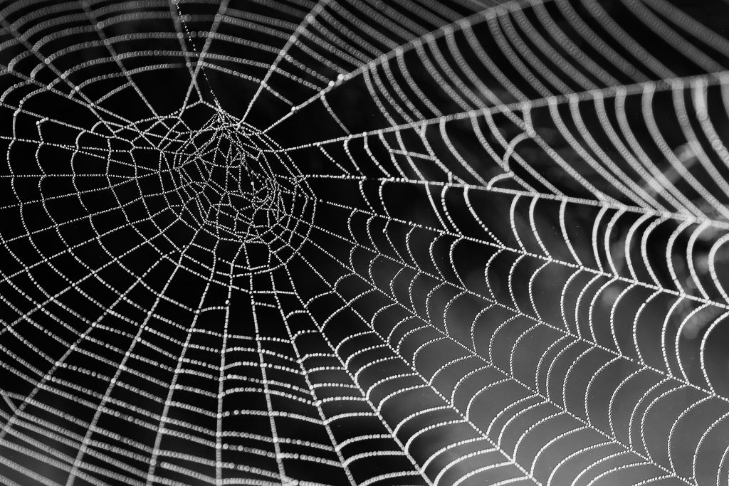 How the Dark Web Means Trouble for Your Company